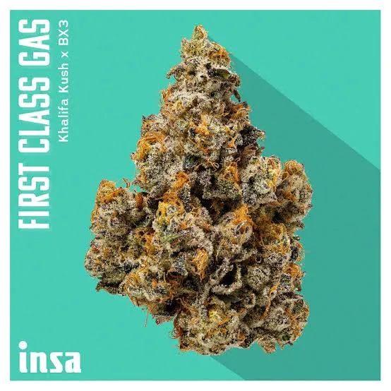 INSA First Class Gas 28g