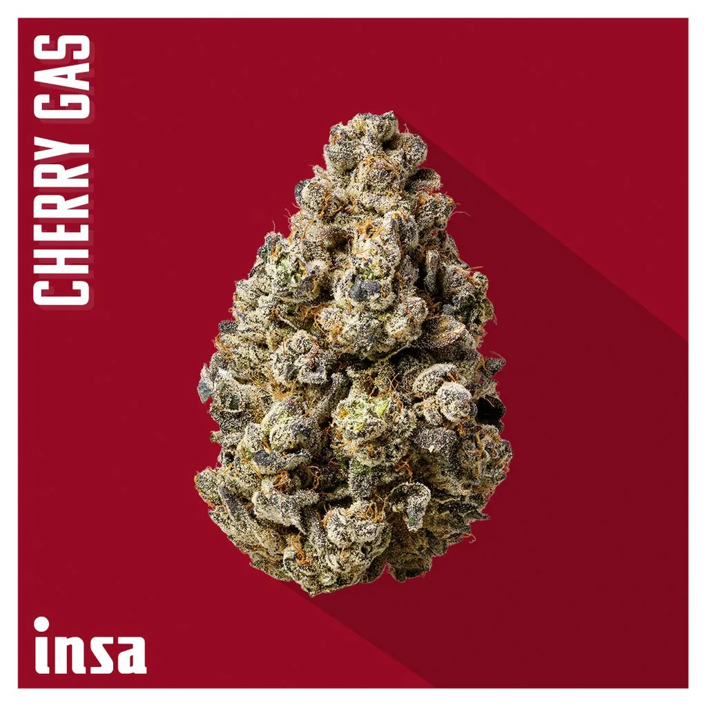 Dense, frosty cannabis bud on a red background with the words Cherry Gas and the INSA logo.