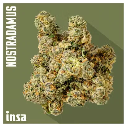 INSA Nostradamus 28g